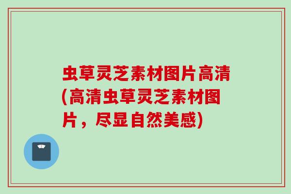 虫草灵芝素材图片高清(高清虫草灵芝素材图片，尽显自然美感)