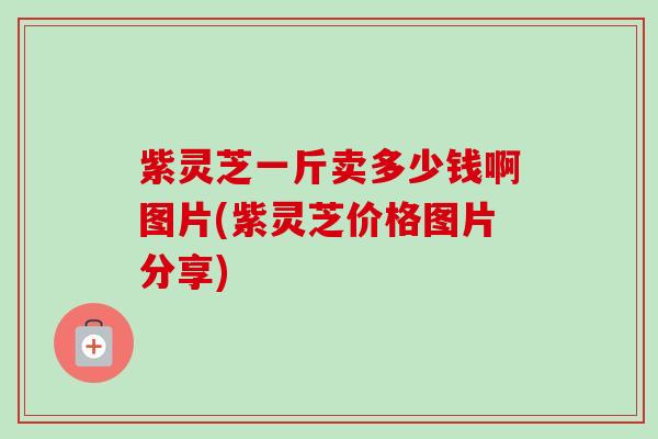 紫灵芝一斤卖多少钱啊图片(紫灵芝价格图片分享)
