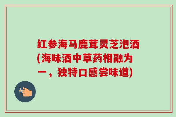 红参海马鹿茸灵芝泡酒(海味酒中草药相融为一，独特口感尝味道)