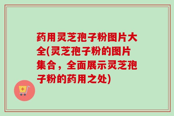 药用灵芝孢子粉图片大全(灵芝孢子粉的图片集合，全面展示灵芝孢子粉的药用之处)