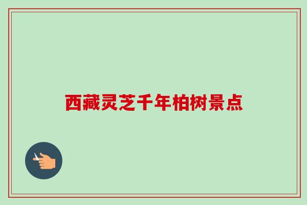 西藏灵芝千年柏树景点 西藏灵芝千年柏树景点