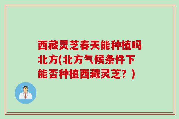西藏灵芝春天能种植吗北方(北方气候条件下能否种植西藏灵芝？)