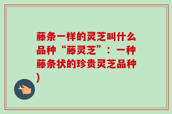 藤条一样的灵芝叫什么品种“藤灵芝”：一种藤条状的珍贵灵芝品种)