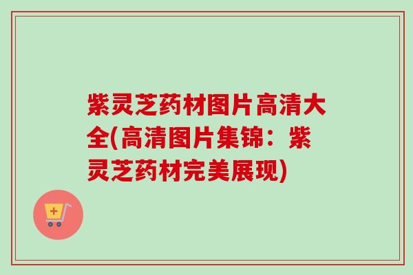 紫灵芝药材图片高清大全(高清图片集锦：紫灵芝药材完美展现)