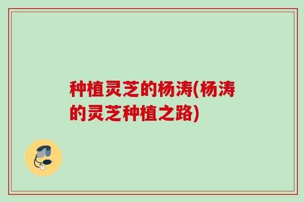 种植灵芝的杨涛(杨涛的灵芝种植之路)