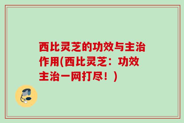 西比灵芝的功效与主治作用(西比灵芝：功效主治一网打尽！)