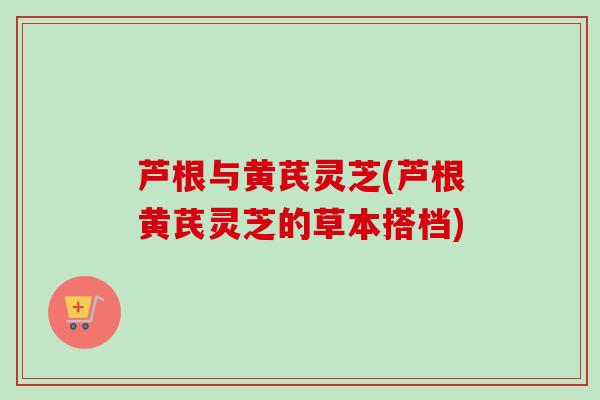 芦根与黄芪灵芝(芦根黄芪灵芝的草本搭档)