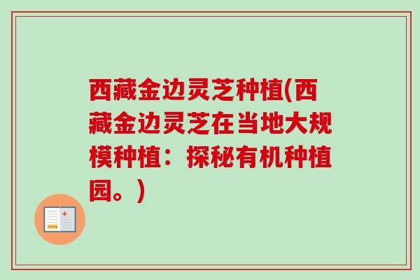 西藏金边灵芝种植(西藏金边灵芝在当地大规模种植：探秘有机种植园。)