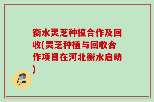 衡水灵芝种植合作及回收(灵芝种植与回收合作项目在河北衡水启动) 衡水灵芝种植合作及回收(灵芝种植与回收合作项目在河北衡水启动)