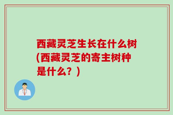 西藏灵芝生长在什么树(西藏灵芝的寄主树种是什么？)