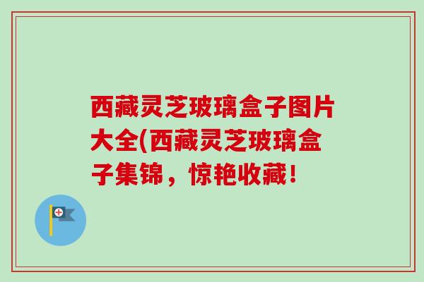 西藏灵芝玻璃盒子图片大全(西藏灵芝玻璃盒子集锦，惊艳收藏！