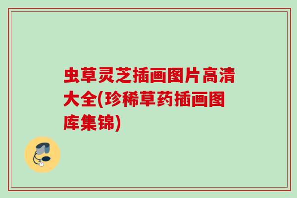 虫草灵芝插画图片高清大全(珍稀草药插画图库集锦)