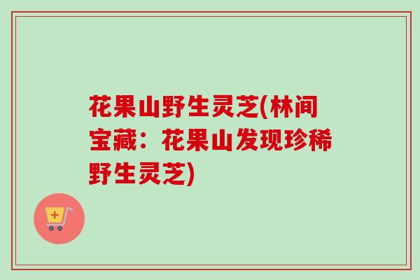 花果山野生灵芝(林间宝藏：花果山发现珍稀野生灵芝)