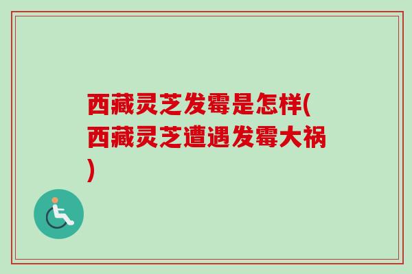 西藏灵芝发霉是怎样(西藏灵芝遭遇发霉大祸)