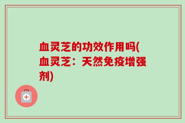 灵芝的功效作用吗(灵芝:天然免疫增强剂) 灵芝的功效作用吗(灵芝:天然免疫增强剂)