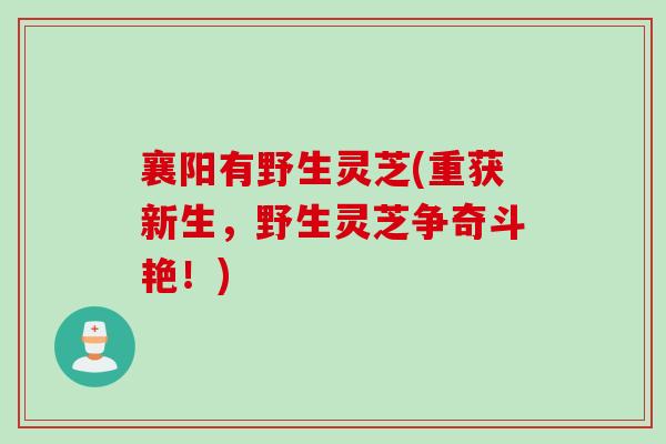襄阳有野生灵芝(重获新生，野生灵芝争奇斗艳！)