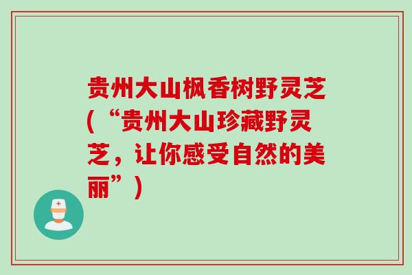 贵州大山枫香树野灵芝(“贵州大山珍藏野灵芝，让你感受自然的美丽”)