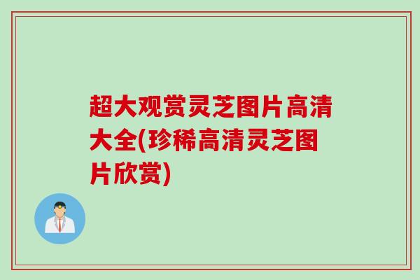 超大观赏灵芝图片高清大全(珍稀高清灵芝图片欣赏)
