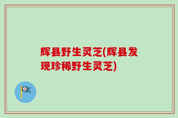 辉县野生灵芝(辉县发现珍稀野生灵芝) 辉县野生灵芝(辉县发现珍稀野生灵芝)