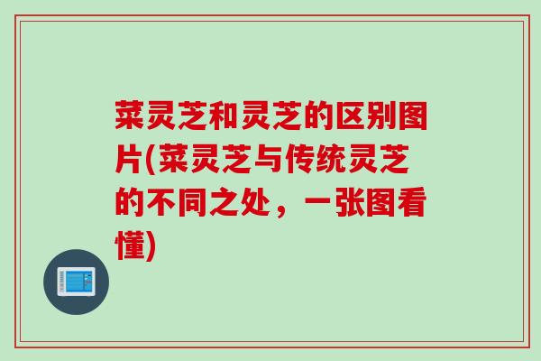 菜灵芝和灵芝的区别图片(菜灵芝与传统灵芝的不同之处,一张图看懂) 菜灵芝和灵芝的区别图片(菜灵芝与传统灵芝的不同之处,一张图看懂)