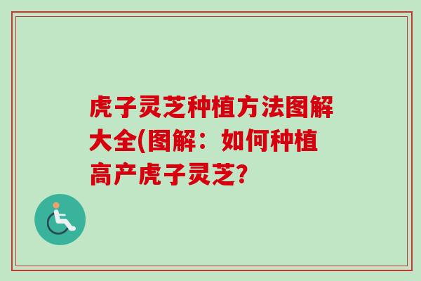 虎子灵芝种植方法图解大全(图解：如何种植高产虎子灵芝？