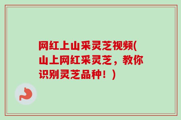 网红上山采灵芝视频(山上网红采灵芝，教你识别灵芝品种！)