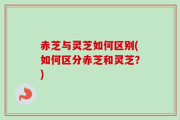 赤芝与灵芝如何区别(如何区分赤芝和灵芝？)