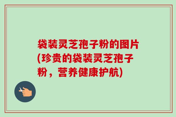 袋装灵芝孢子粉的图片(珍贵的袋装灵芝孢子粉，营养健康护航)