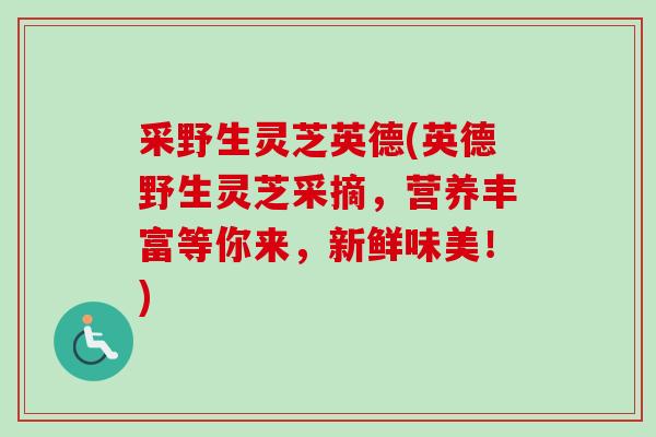 采野生灵芝英德(英德野生灵芝采摘，营养丰富等你来，新鲜味美！)