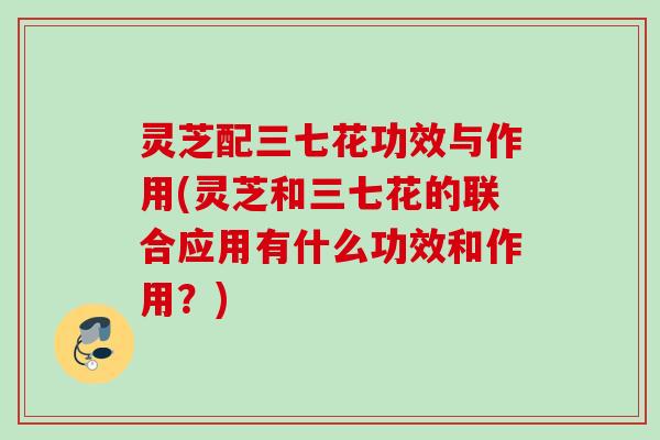 灵芝配三七花功效与作用(灵芝和三七花的联合应用有什么功效和作用?) 灵芝配三七花功效与作用(灵芝和三七花的联合应用有什么功效和作用?)