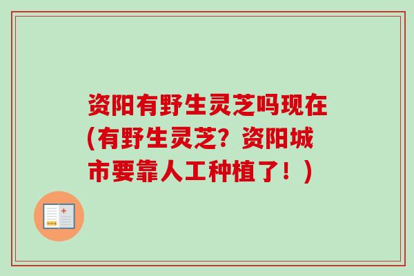 资阳有野生灵芝吗现在(有野生灵芝？资阳城市要靠人工种植了！)