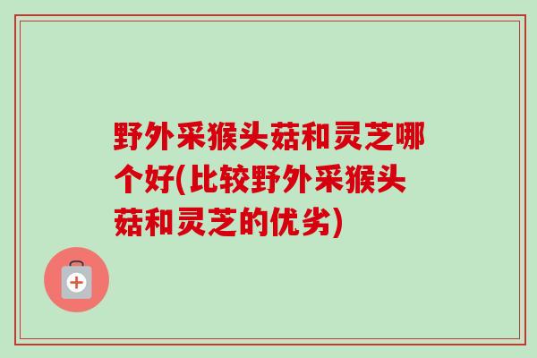 野外采猴头菇和灵芝哪个好(比较野外采猴头菇和灵芝的优劣)