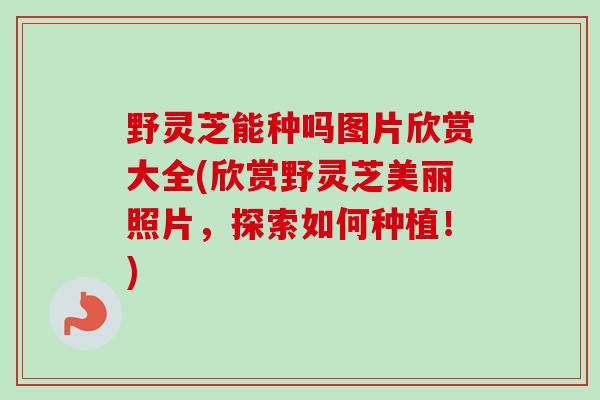 野灵芝能种吗图片欣赏大全(欣赏野灵芝美丽照片，探索如何种植！)