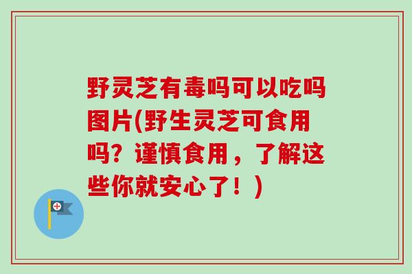 野灵芝有毒吗可以吃吗图片(野生灵芝可食用吗？谨慎食用，了解这些你就安心了！)