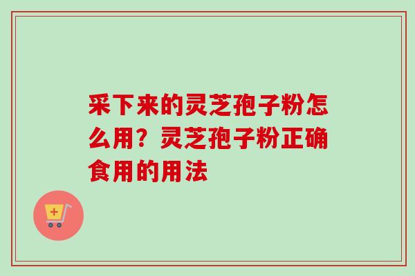 采下来的灵芝孢子粉怎么用？灵芝孢子粉正确食用的用法