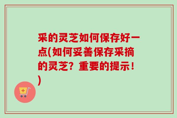 采的灵芝如何保存好一点(如何妥善保存采摘的灵芝?重要的提示!) 采的灵芝如何保存好一点(如何妥善保存采摘的灵芝?重要的提示!)