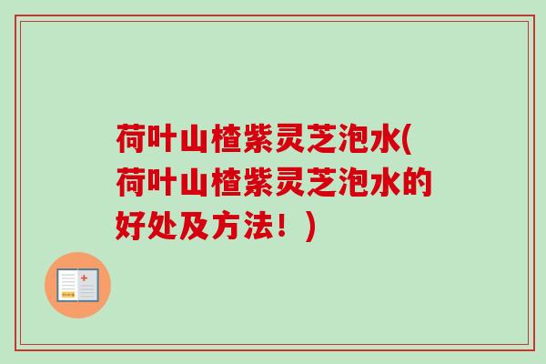 荷叶山楂紫灵芝泡水(荷叶山楂紫灵芝泡水的好处及方法!) 荷叶山楂紫灵芝泡水(荷叶山楂紫灵芝泡水的好处及方法!)