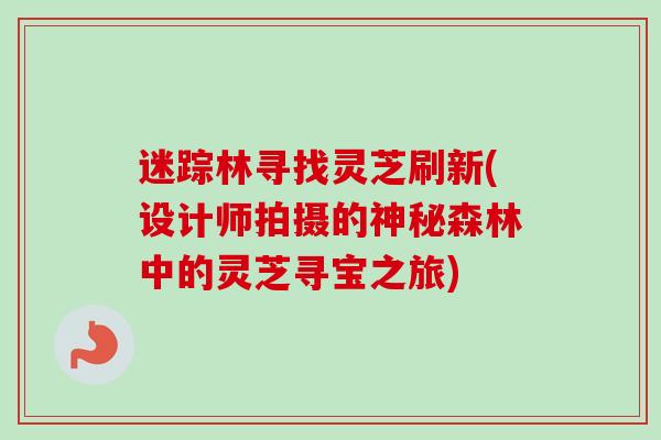 迷踪林寻找灵芝刷新(设计师拍摄的神秘森林中的灵芝寻宝之旅)