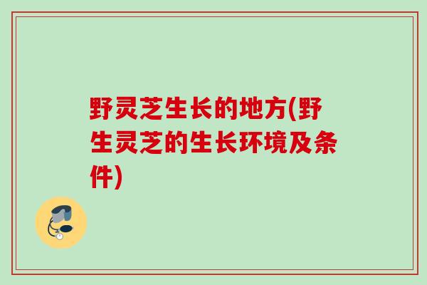 野灵芝生长的地方(野生灵芝的生长环境及条件)