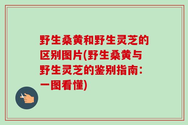 野生桑黄和野生灵芝的区别图片(野生桑黄与野生灵芝的鉴别指南:一图看懂) 野生桑黄和野生灵芝的区别图片(野生桑黄与野生灵芝的鉴别指南:一图看懂)