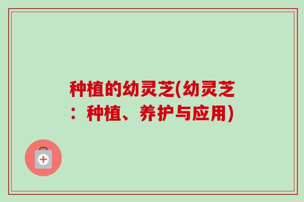 种植的幼灵芝(幼灵芝：种植、养护与应用)
