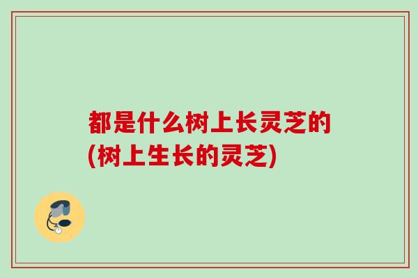 都是什么树上长灵芝的(树上生长的灵芝)