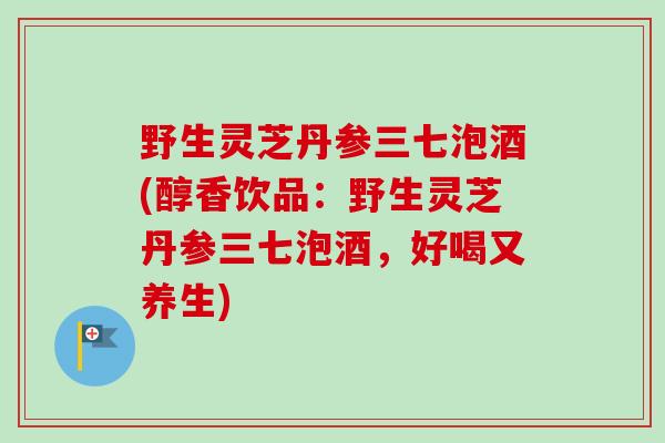 野生灵芝丹参三七泡酒(醇香饮品：野生灵芝丹参三七泡酒，好喝又养生)