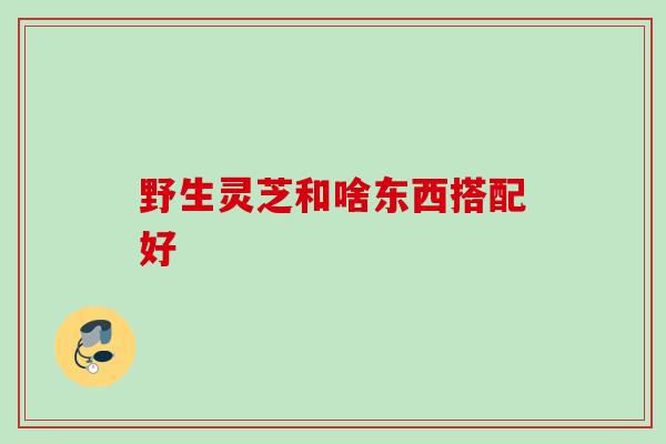 野生灵芝和啥东西搭配好 野生灵芝和啥东西搭配好
