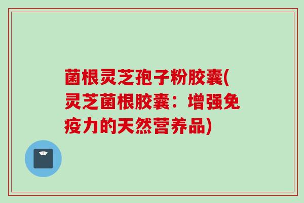 菌根灵芝孢子粉胶囊(灵芝菌根胶囊：增强免疫力的天然营养品)
