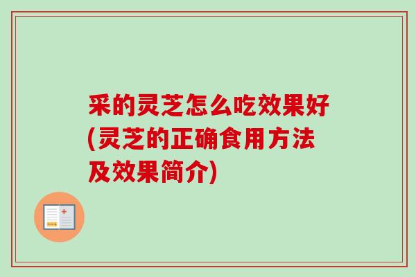 采的灵芝怎么吃效果好(灵芝的正确食用方法及效果简介) 采的灵芝怎么吃效果好(灵芝的正确食用方法及效果简介)