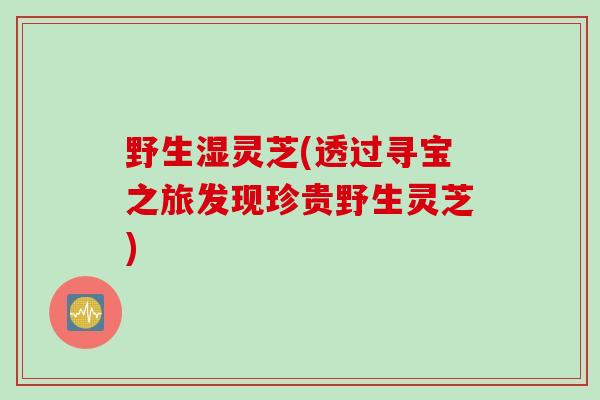 野生湿灵芝(透过寻宝之旅发现珍贵野生灵芝)