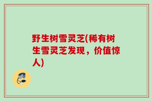 野生树雪灵芝(稀有树生雪灵芝发现,价值惊人) 野生树雪灵芝(稀有树生雪灵芝发现,价值惊人)