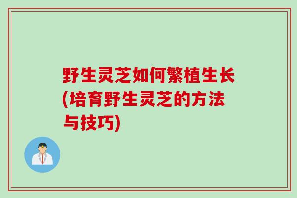 野生灵芝如何繁植生长(培育野生灵芝的方法与技巧)