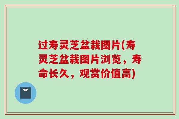 过寿灵芝盆栽图片(寿灵芝盆栽图片浏览,寿命长久,观赏价值高) 过寿灵芝盆栽图片(寿灵芝盆栽图片浏览,寿命长久,观赏价值高)